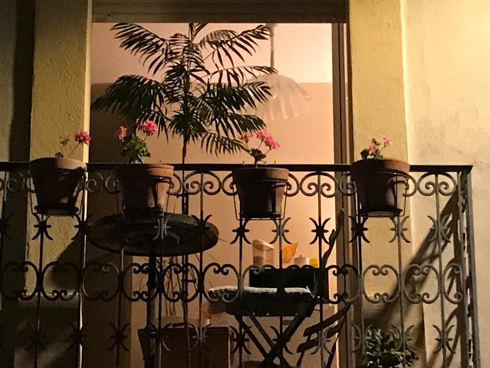 Chambre Japonaise Montpellier Dış mekan fotoğraf